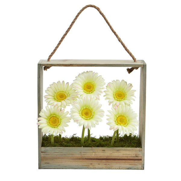 Gerber Daisy Garden in Hanging Frame