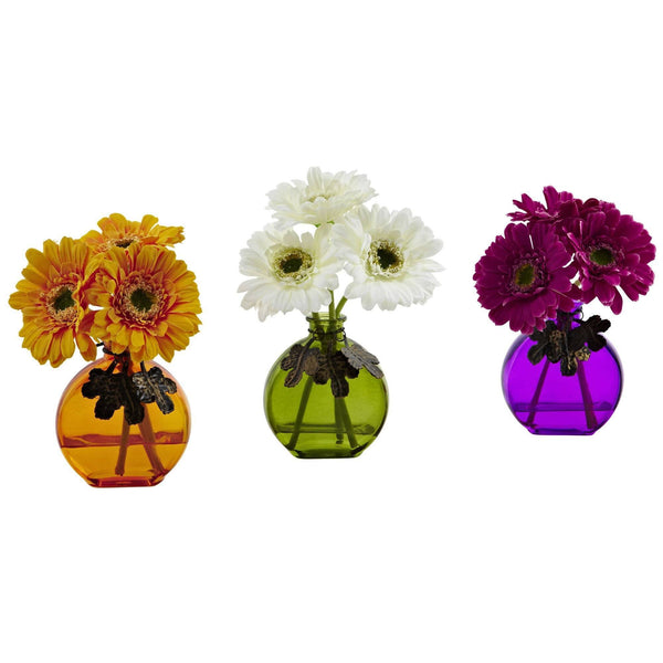 Gerber Daisy w/Colored Vase (Set of 3)