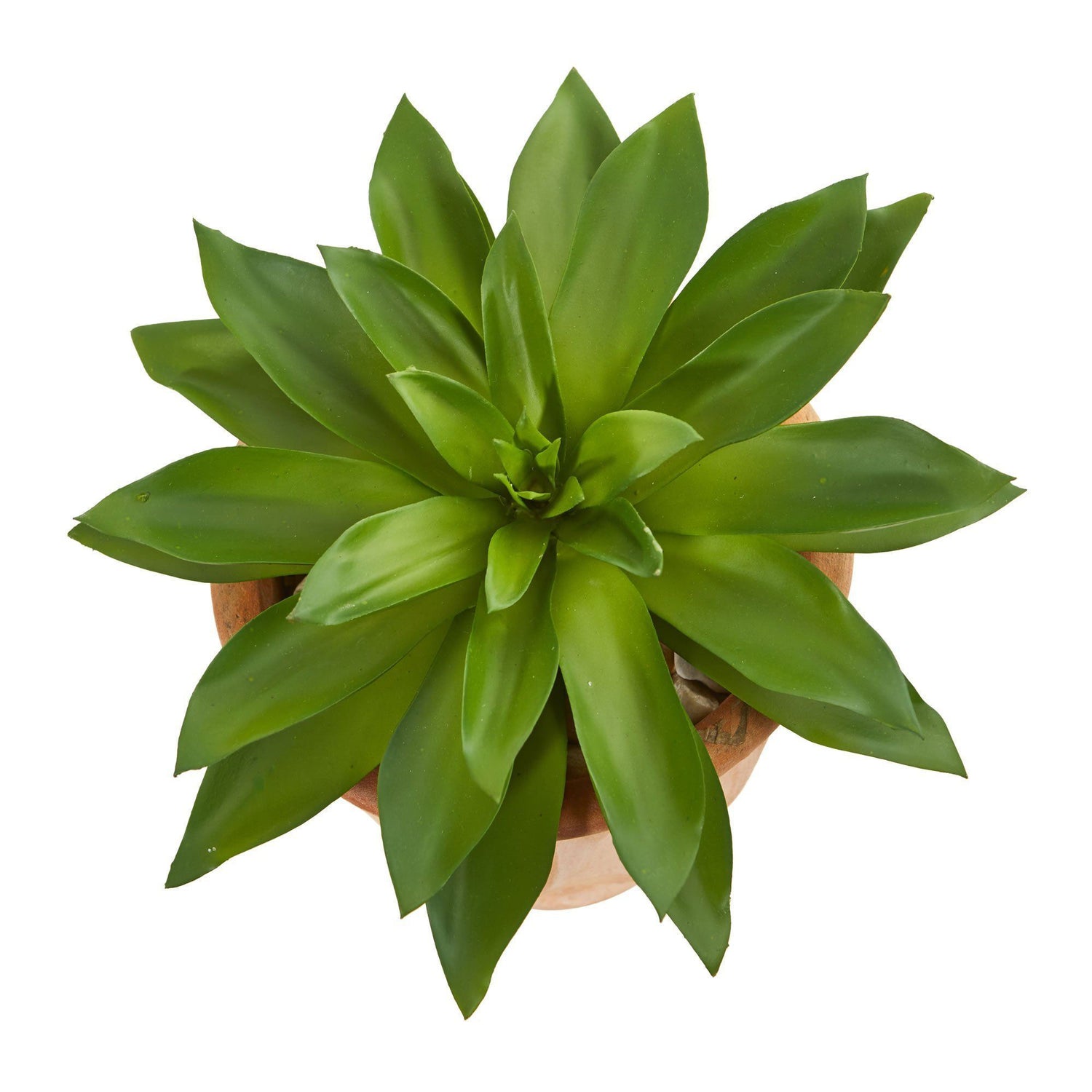 Giant Succulent Artificial Plant in Terra Cotta Planter