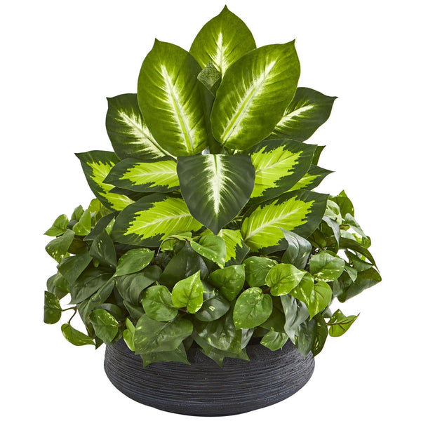 Golden Dieffenbachia & Pothos Artificial Plant in Black Planter