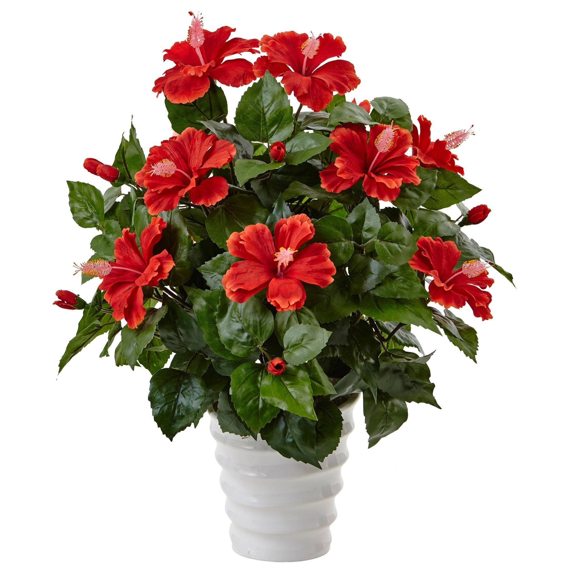 4秒でボゥさん専用LIFEBOOKWA1/F3IntelCore i5PC Hibiscus in Swirl Planter | Nearly Natural