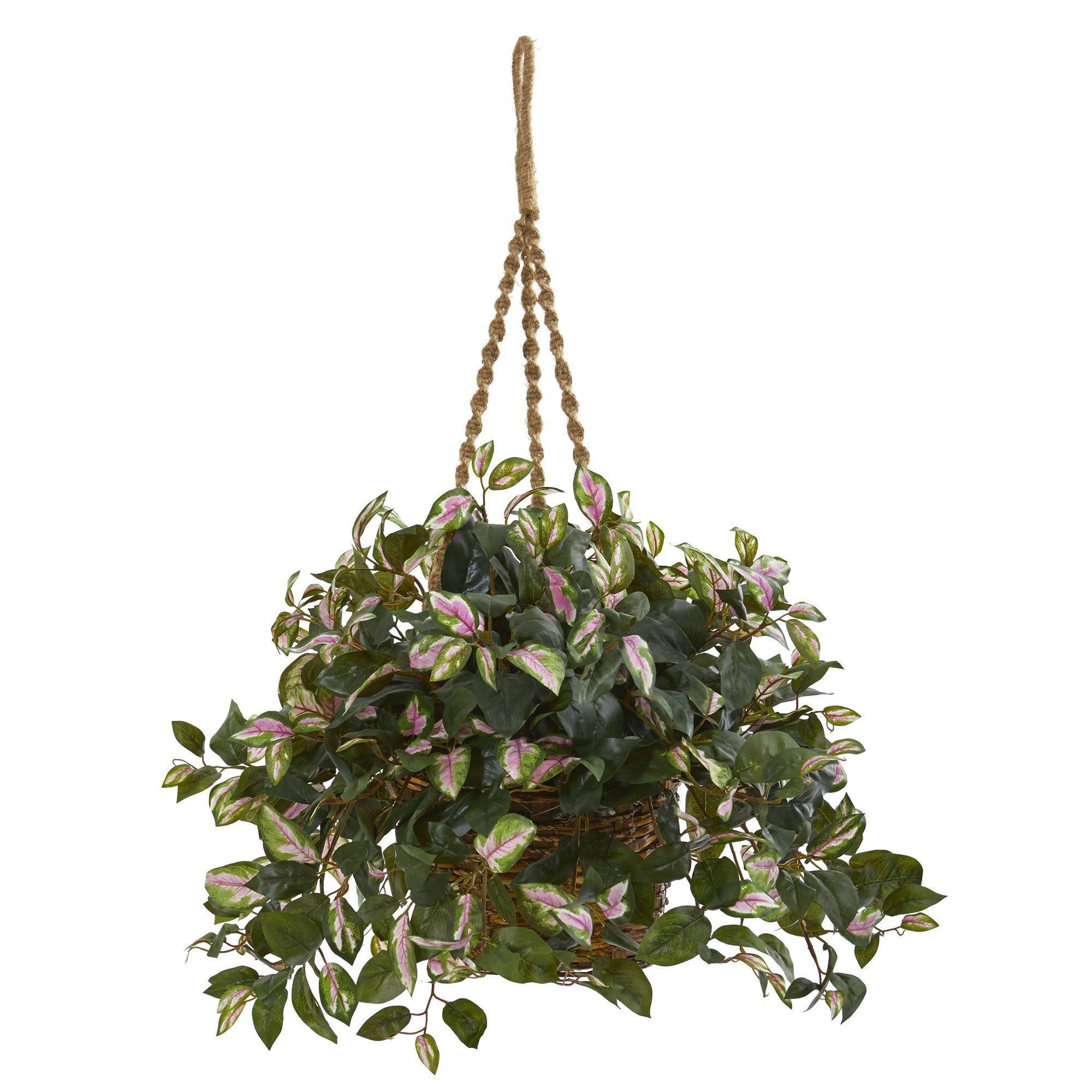 hoya plant hanging basket Nearly Natural Hoya Artificial Plant Hanging Basket