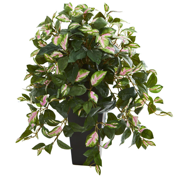 Hoya Artificial Plant in Black Vase