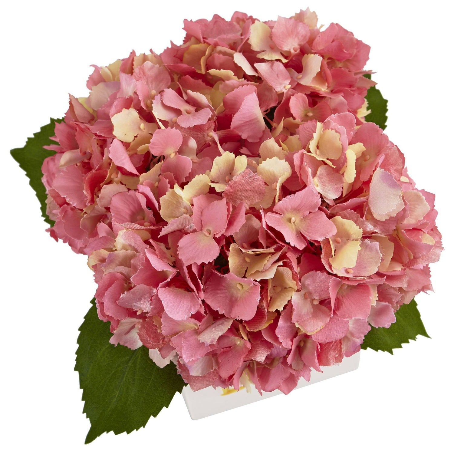 Hydrangea in New Baby Ceramic