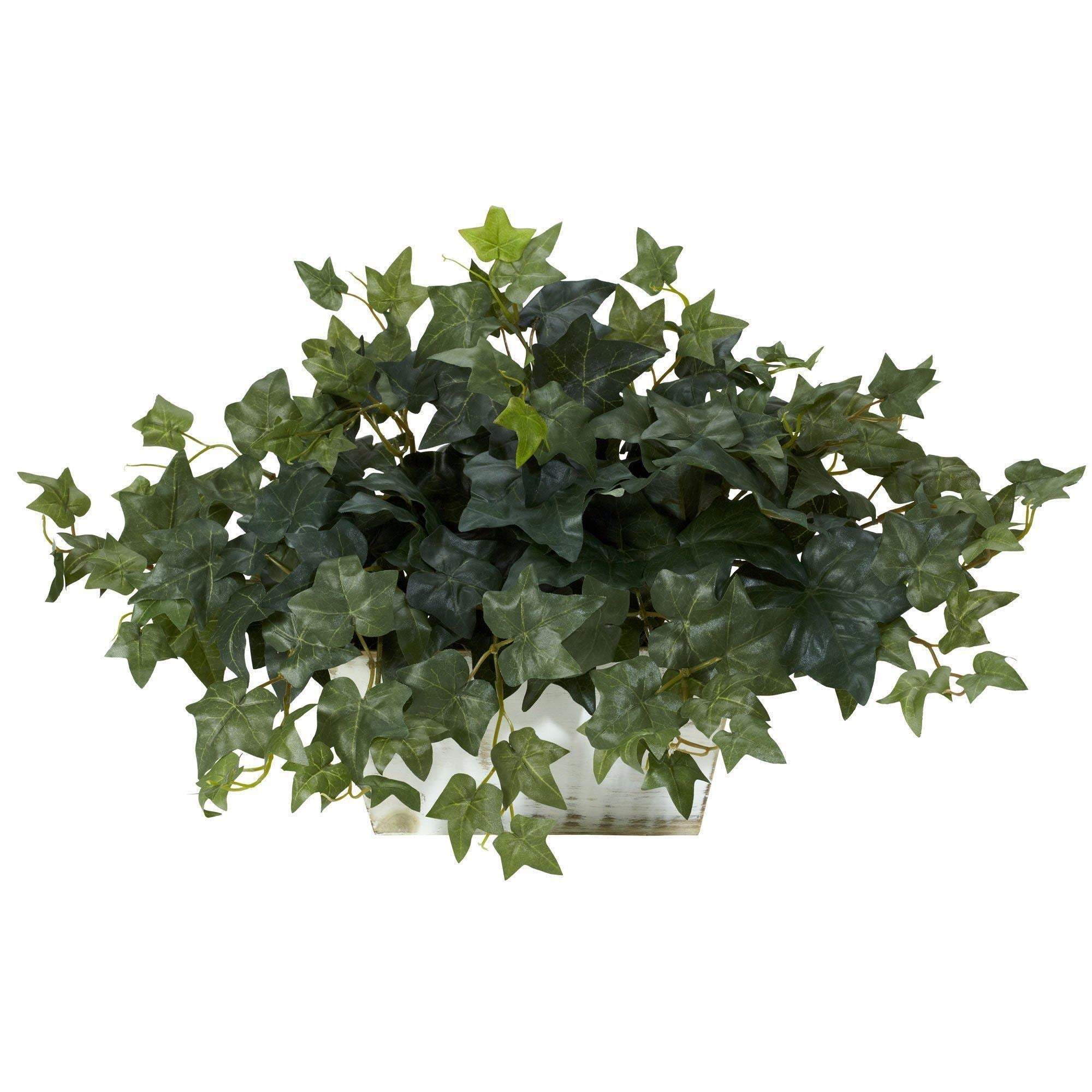 Artificial discount ivy plant