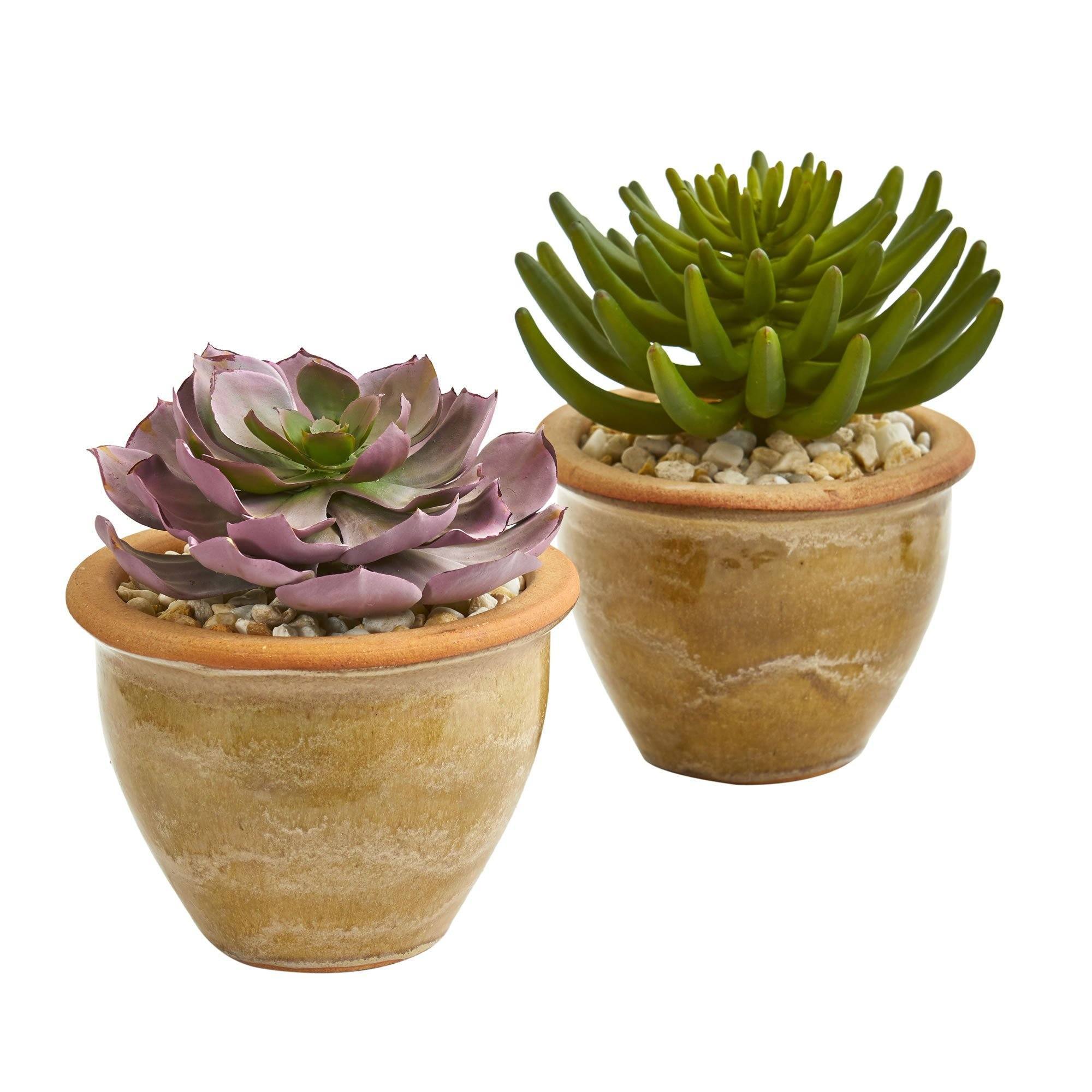 succulent pots large Large Succulent Artificial Plant in Ceramic Vase (Set of 2)