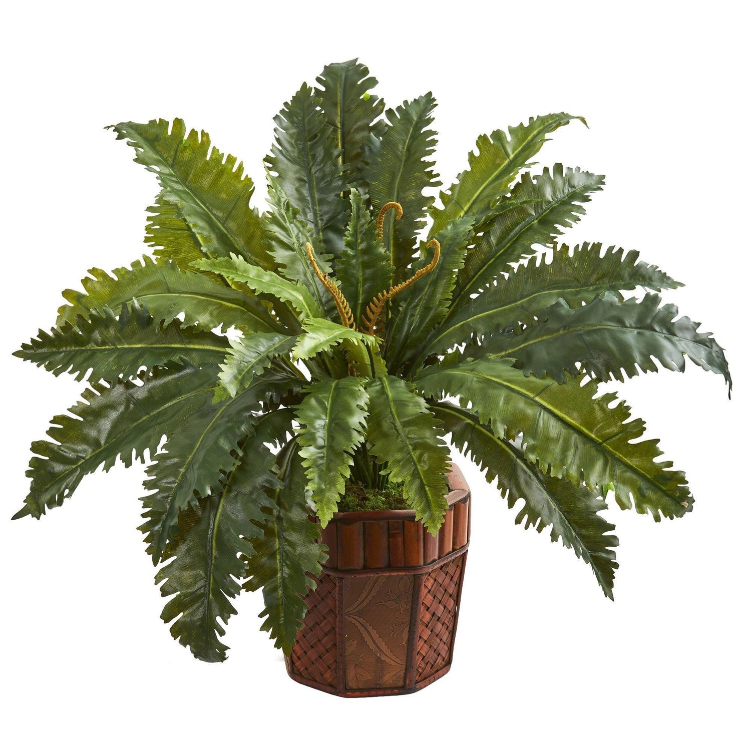 Marginatum Artificial Plant in Bamboo Finished Planter