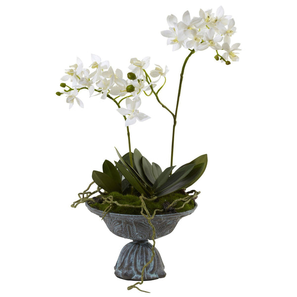 Mini Dendrobium w/Metal Vase