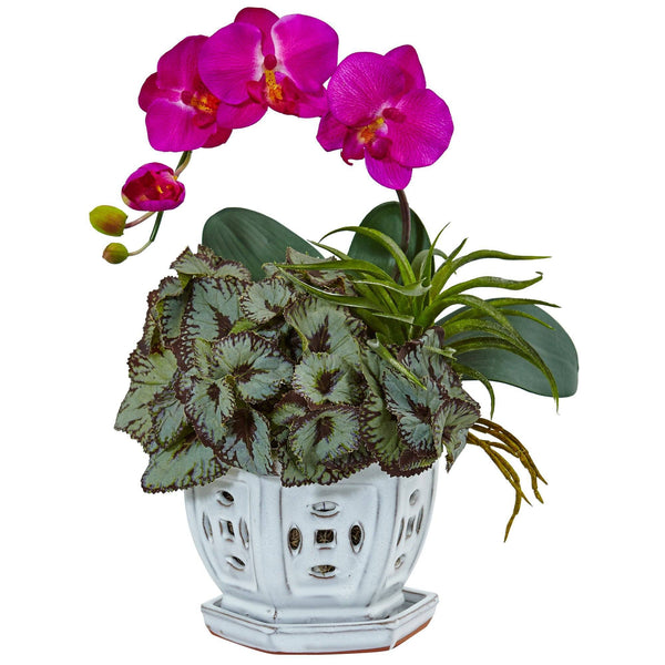 Mini Phalaenopsis Orchid and Succulent in Planter