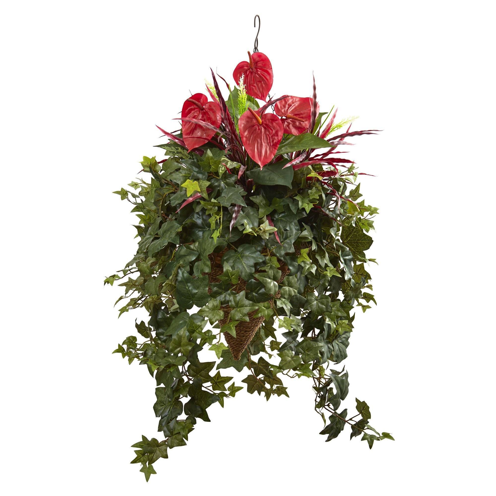 Mixed Anthurium Hanging Basket | Nearly Natural