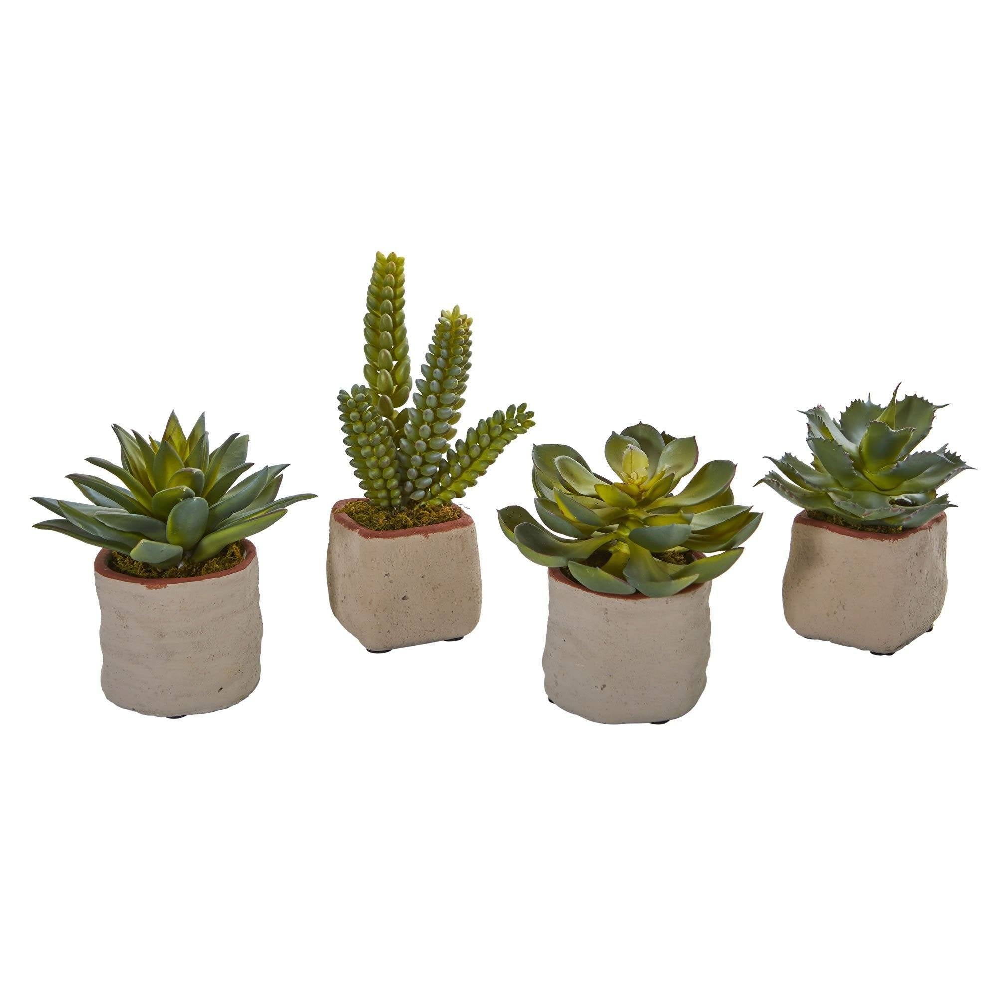 mini fake succulents Nearly Natural Mixed Succulent Artificial Plant (Set of 4)