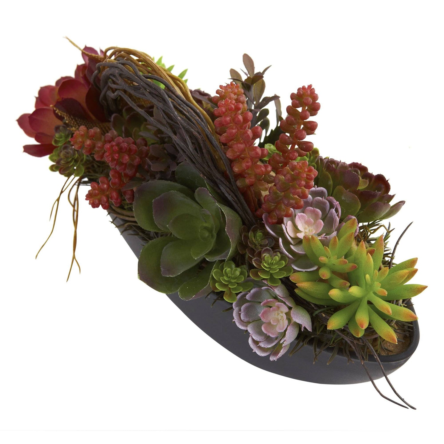 Mixed Succulent w/Oval Black Container