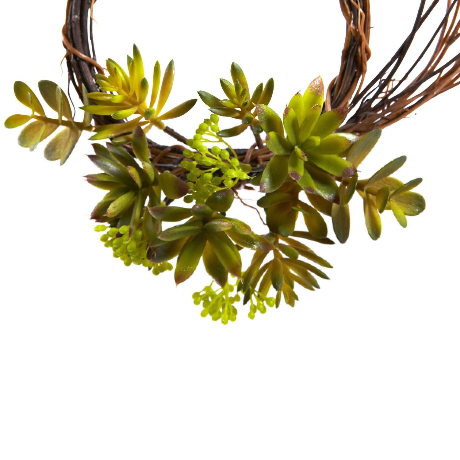 Mixed Succulent Wreath (Set of 2)