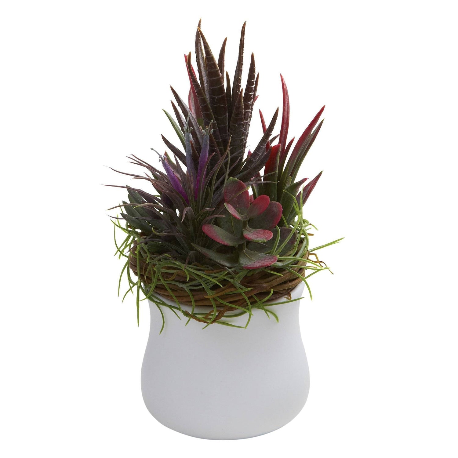 Mixed Succulent w/White Planter (Set of 2)