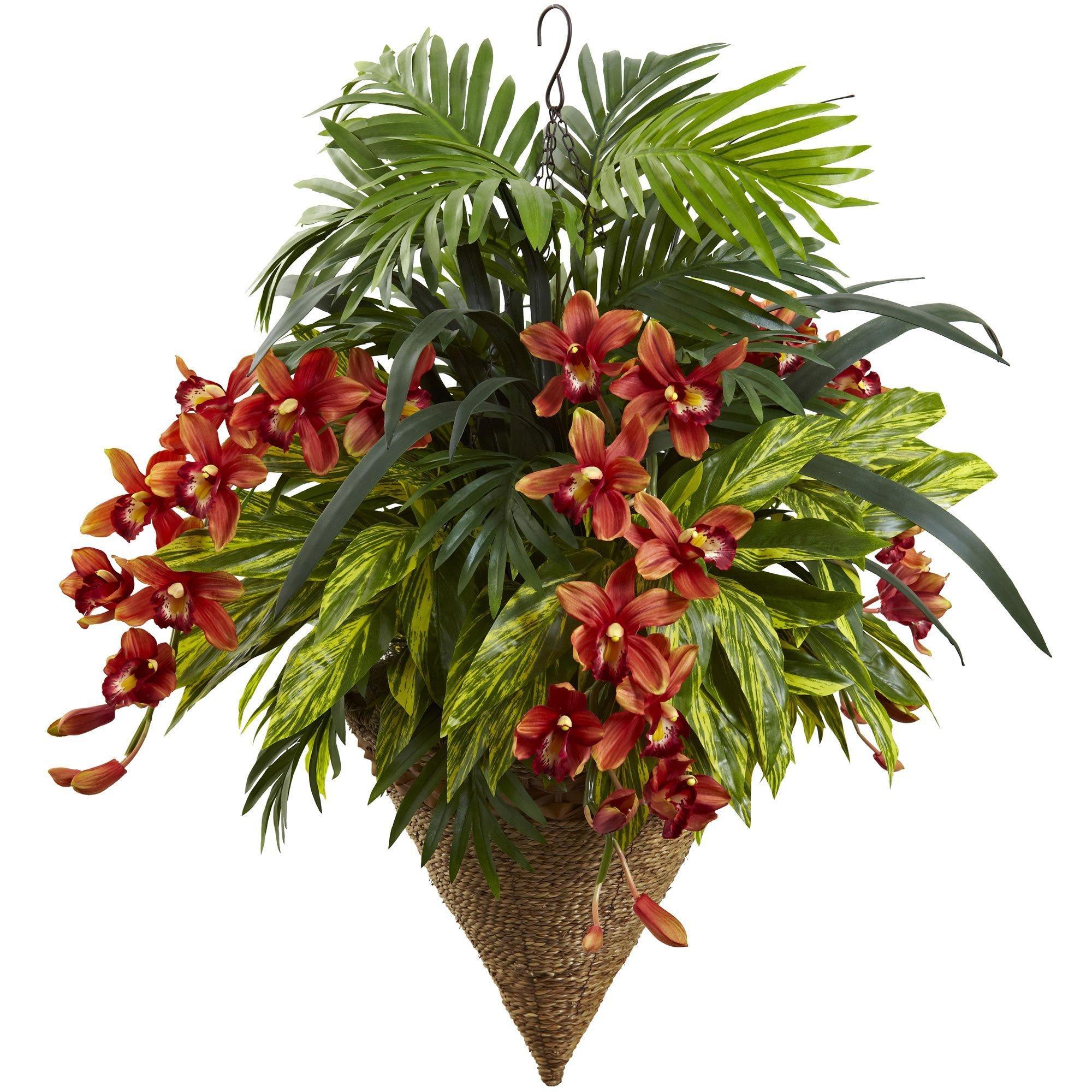 pink and green plants indoor Syngonium Pink Splash | Arrowhead Plant main image 0