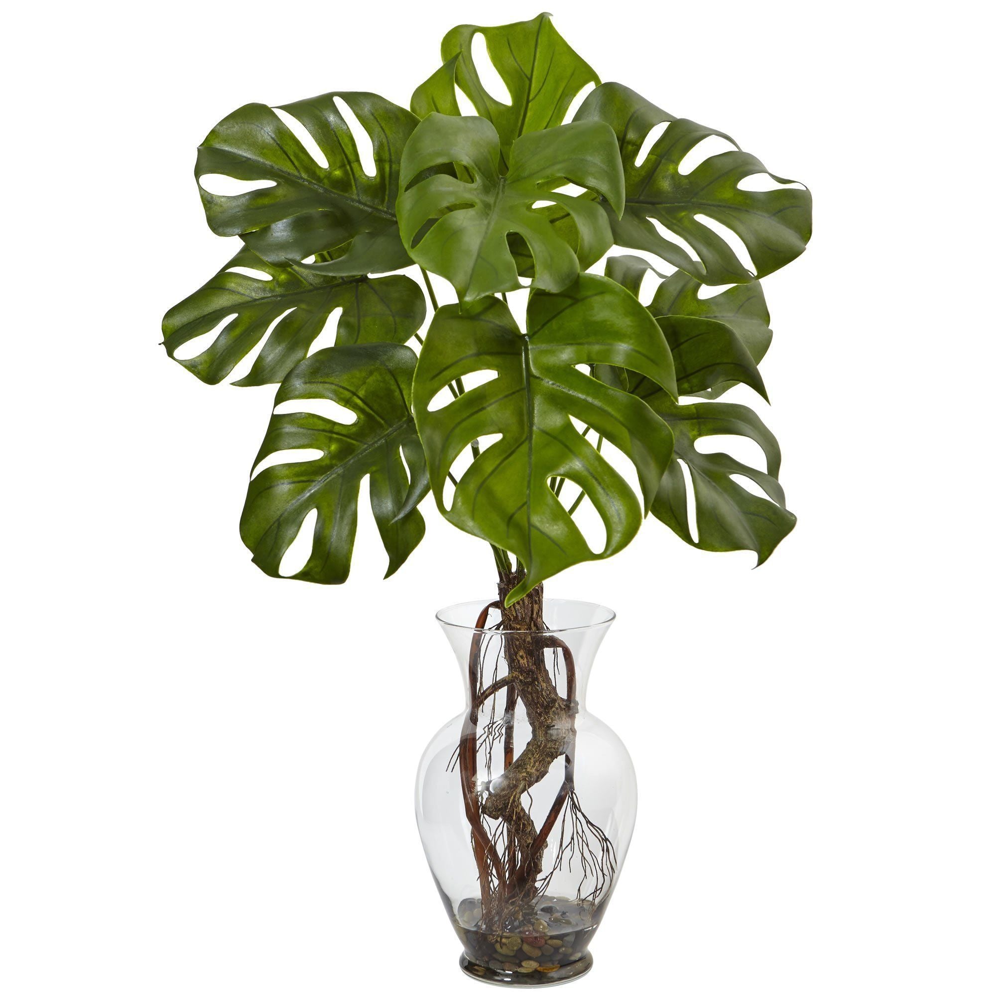monstera plant vase Monstera Plant with Vase