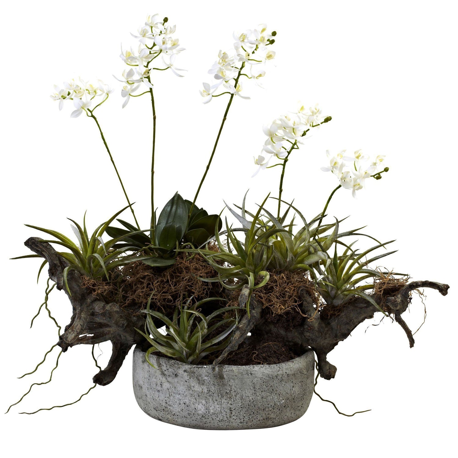 Orchid & Succulent Garden w/Driftwood & Decorative Vase