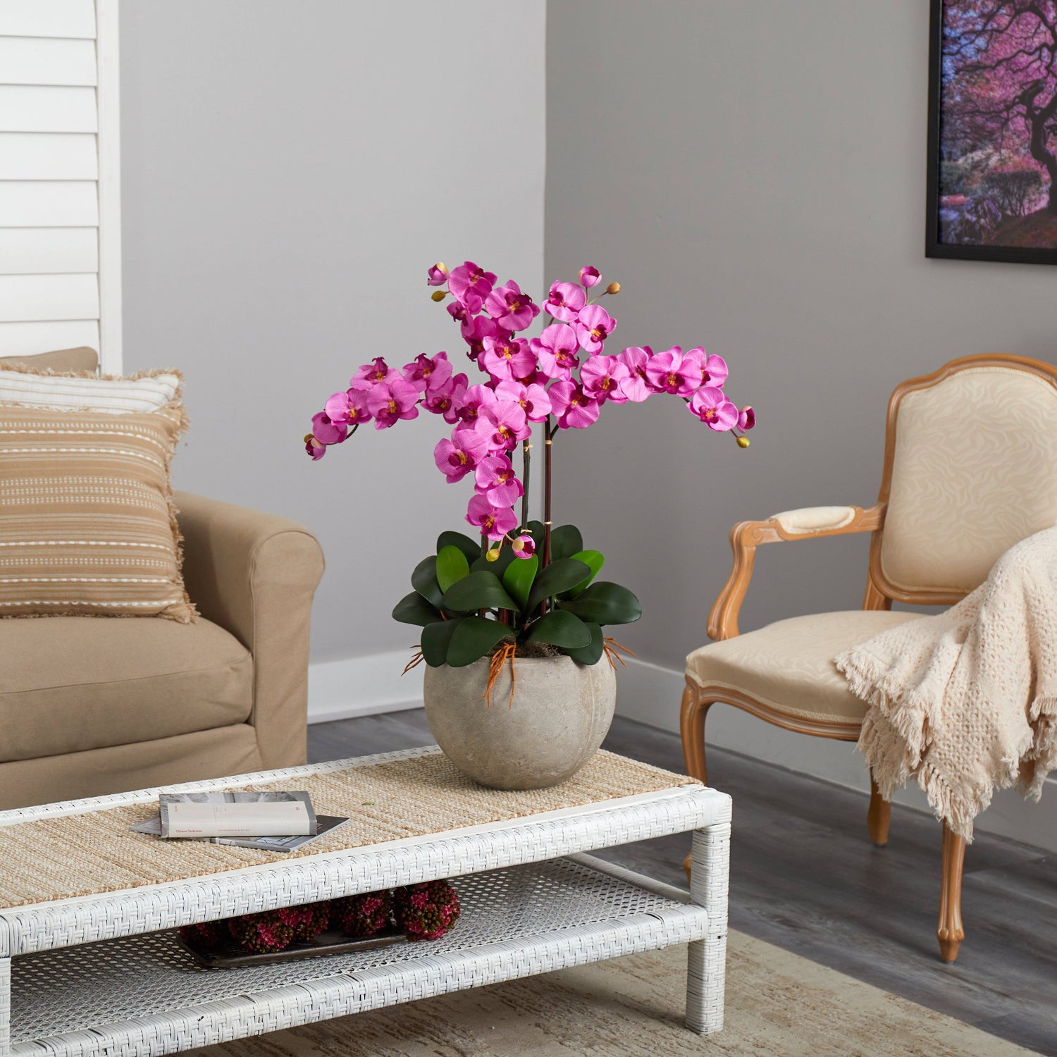 Phalaenopsis Orchid Arrangement with Sand Colored Bowl