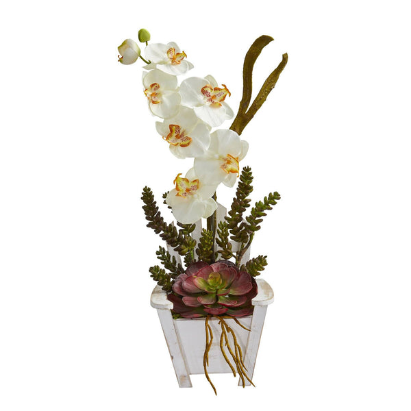Phalaenopsis Orchid & Succulent Artificial Arrangement in Chair Planter