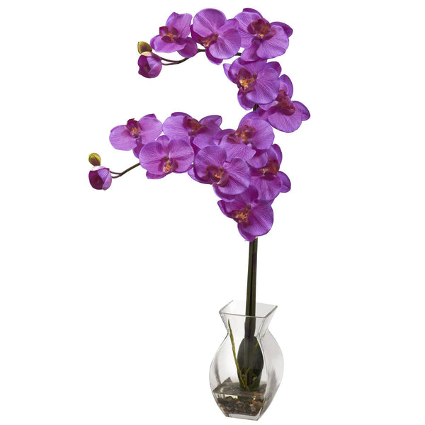 Phalaenopsis Orchid w/Vase Arrangement