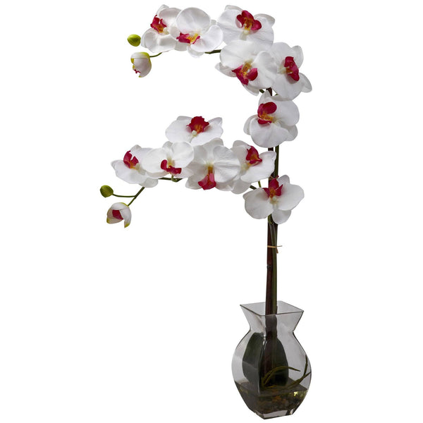 Phalaenopsis Orchid w/Vase Arrangement