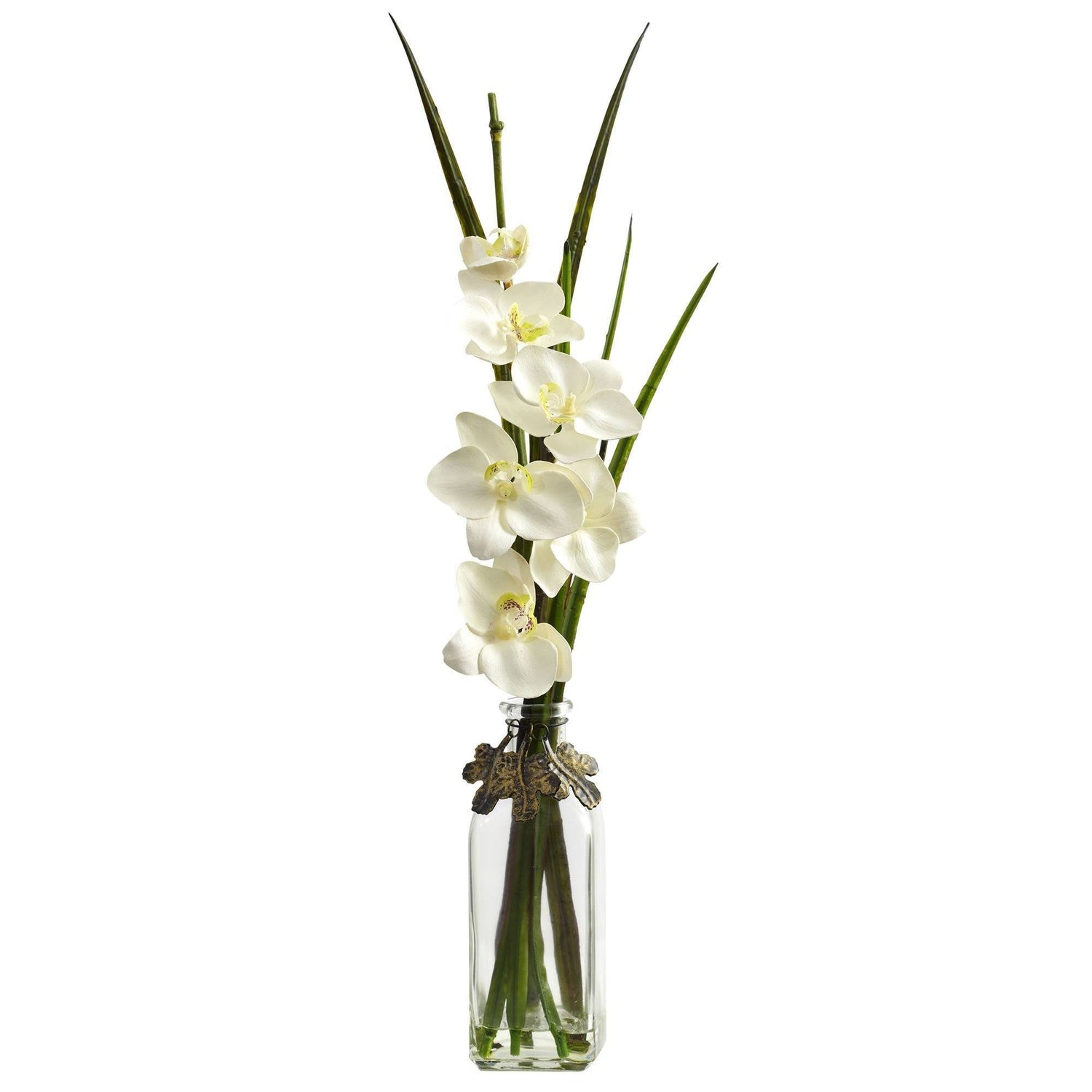 Phalaenopsis w/Colored Jar (Set of 2)