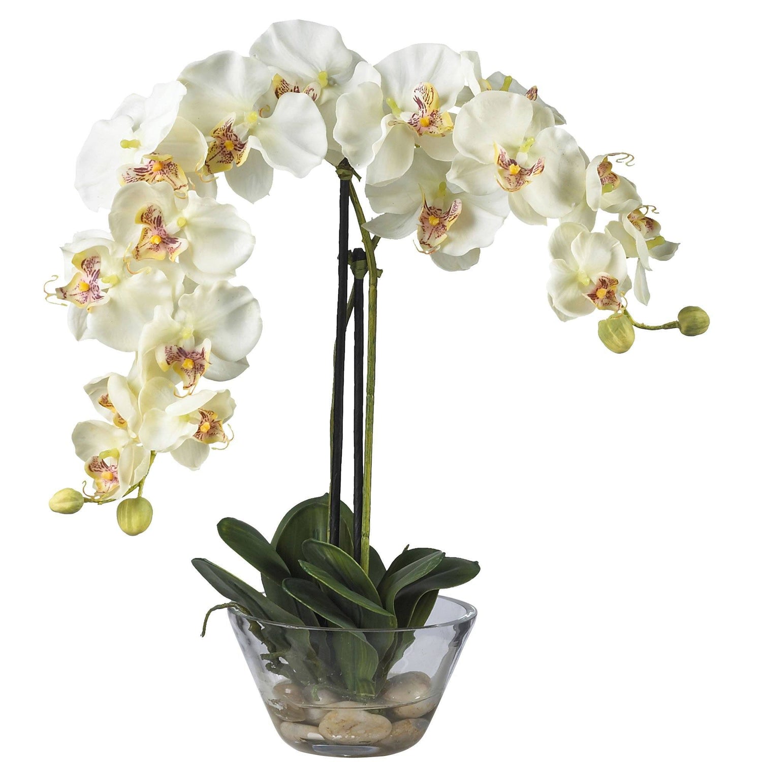 Phalaenopsis w/Glass Vase Silk Flower Arrangement