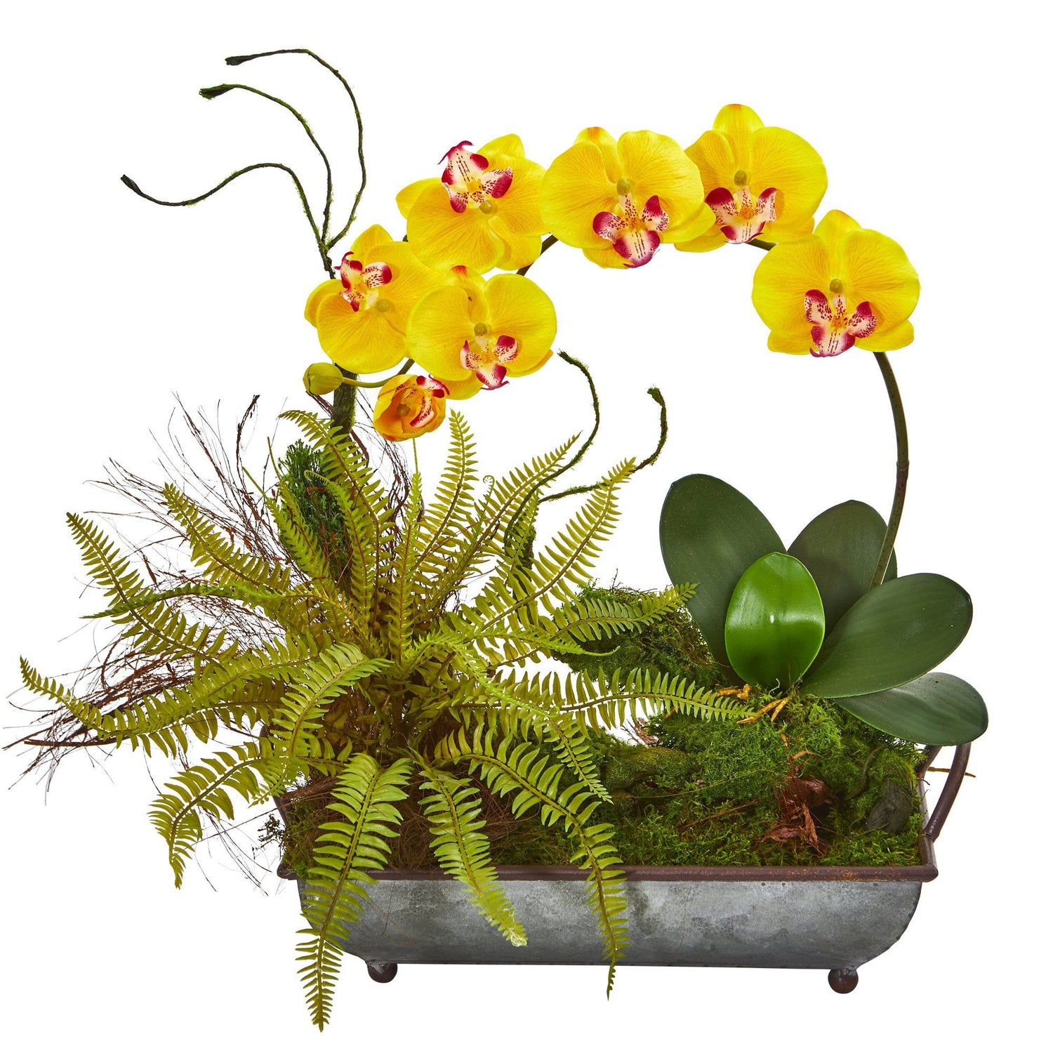 Phelaenopsis Orchid and Fern Artificial Arrangement in Metal Tray