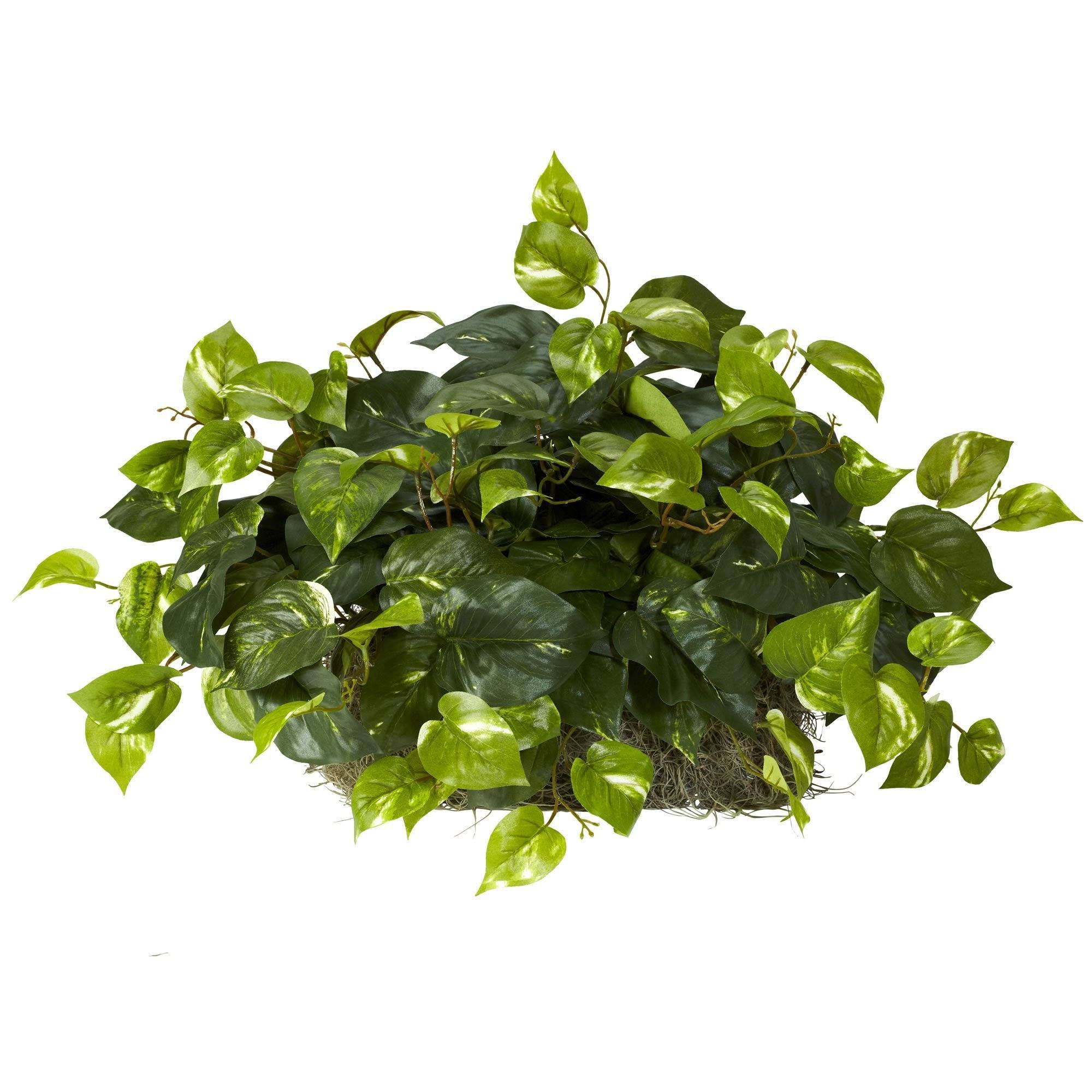 pothos ledge plant Nearly Natural Pothos Ledge Plant (Set on Foam) Silk Plant