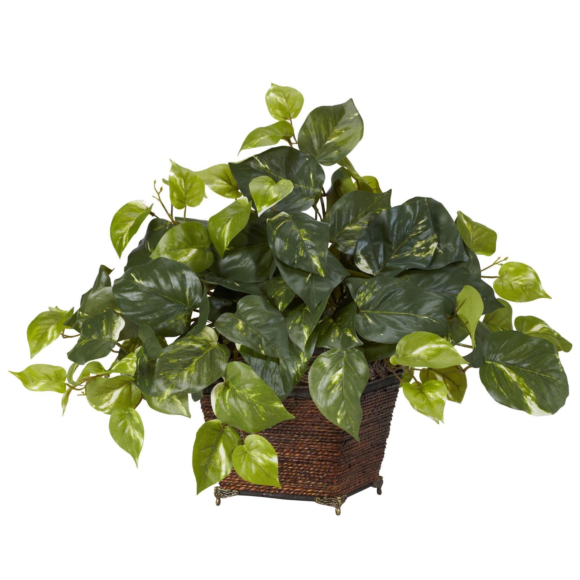nearly natural pothos Nearly Natural Pothos with Coiled Rope Planter Silk Plant