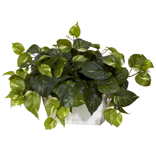 Pothos w/White Wash Planter Silk Plant