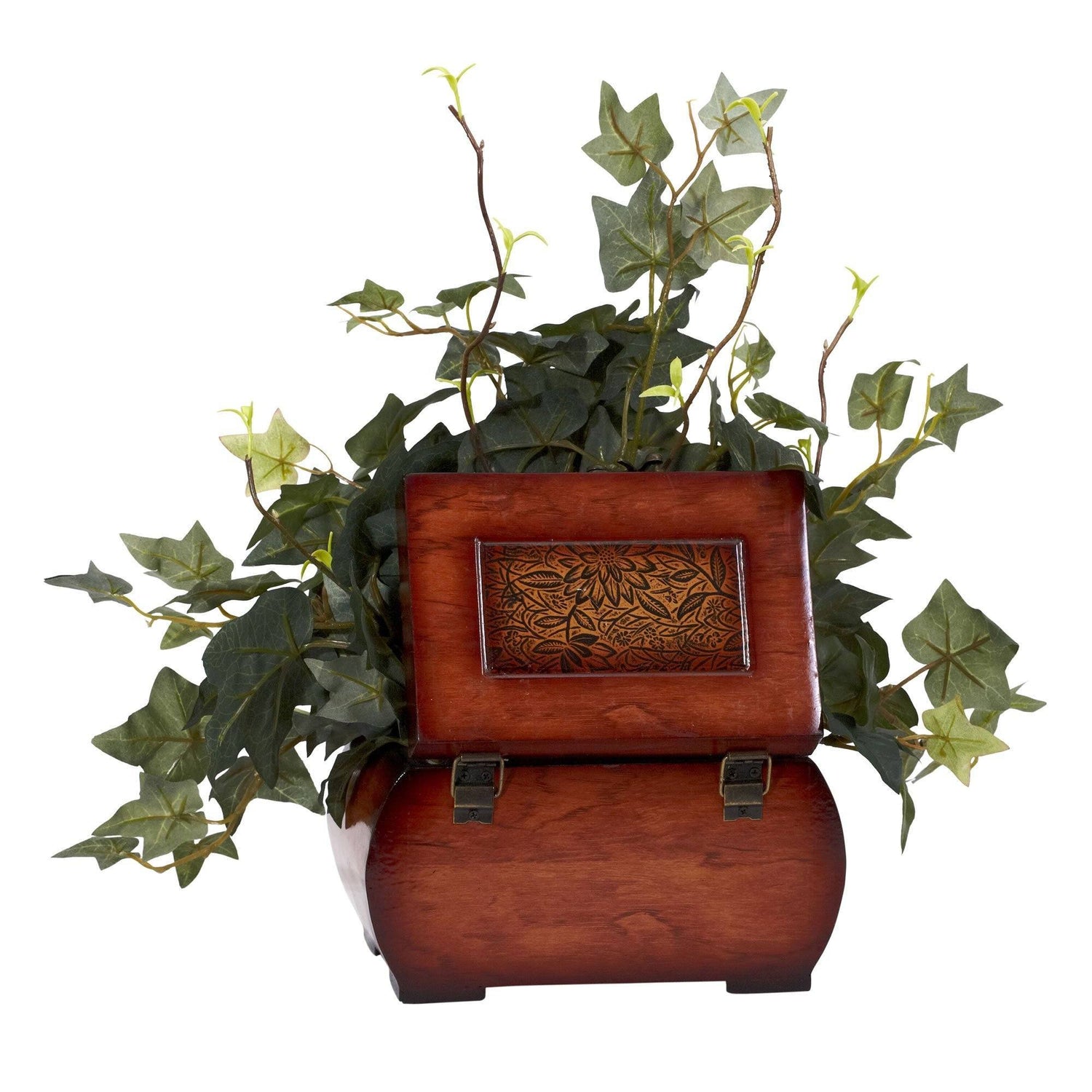 Puff Ivy w/Chest Silk Plant