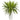 Rippled Birdsnest Artificial Plant on White Tower Planter