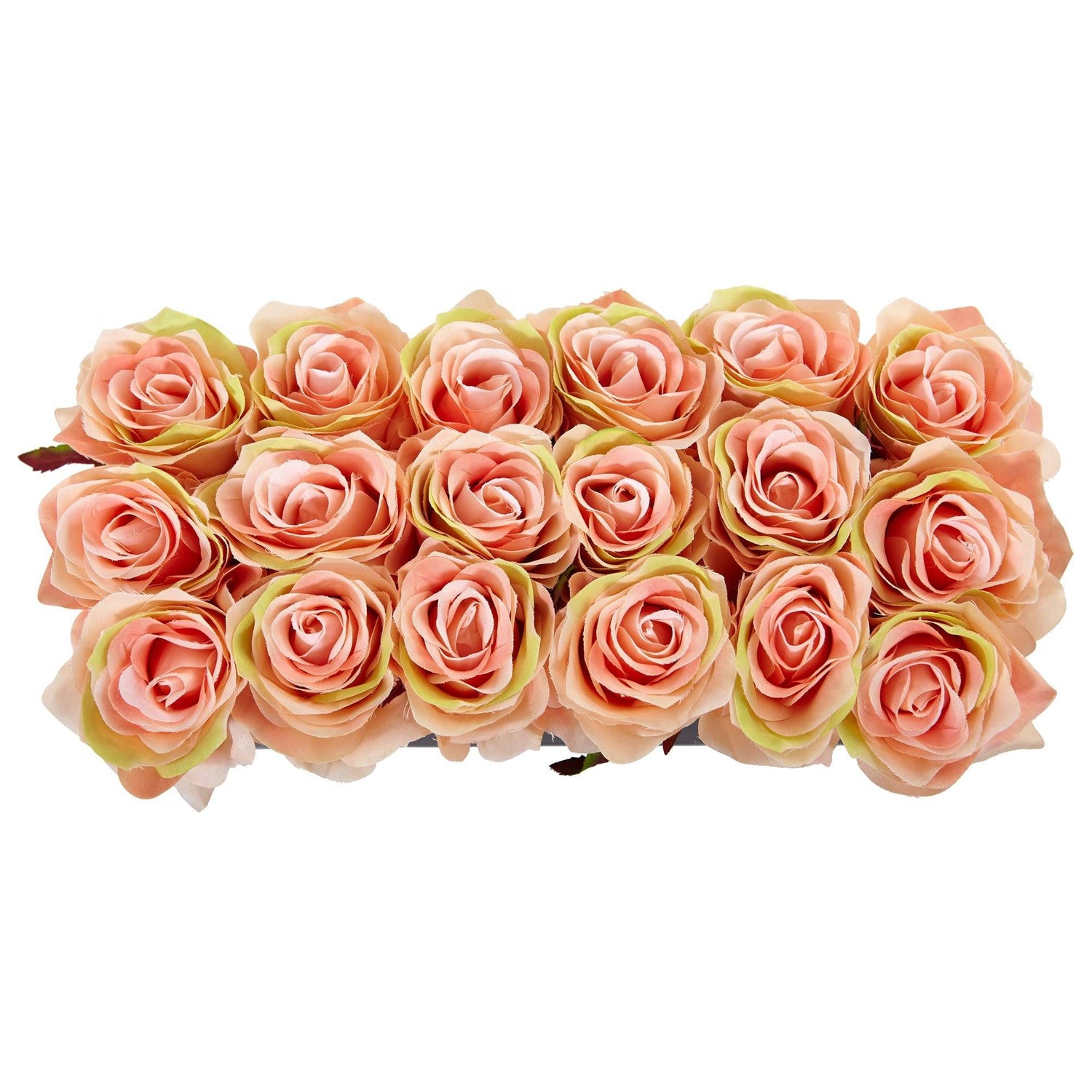 Roses in Rectangular Planter