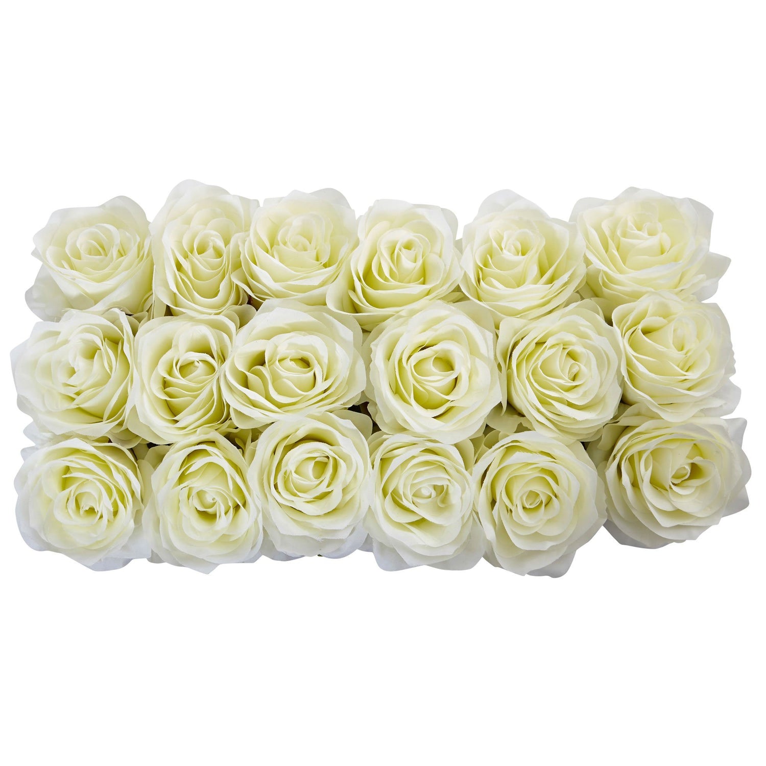 Roses in Rectangular Planter