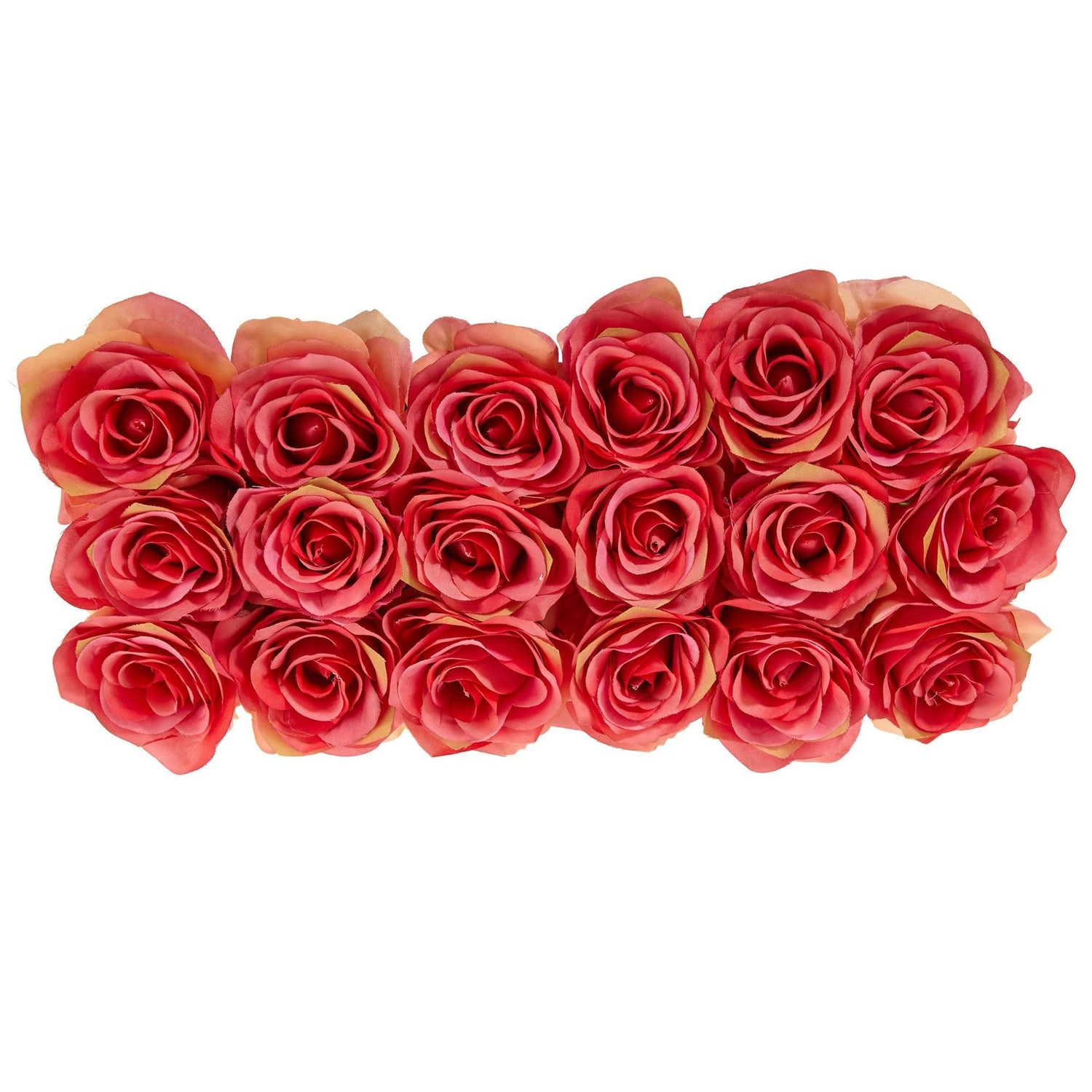 Roses in Rectangular Planter