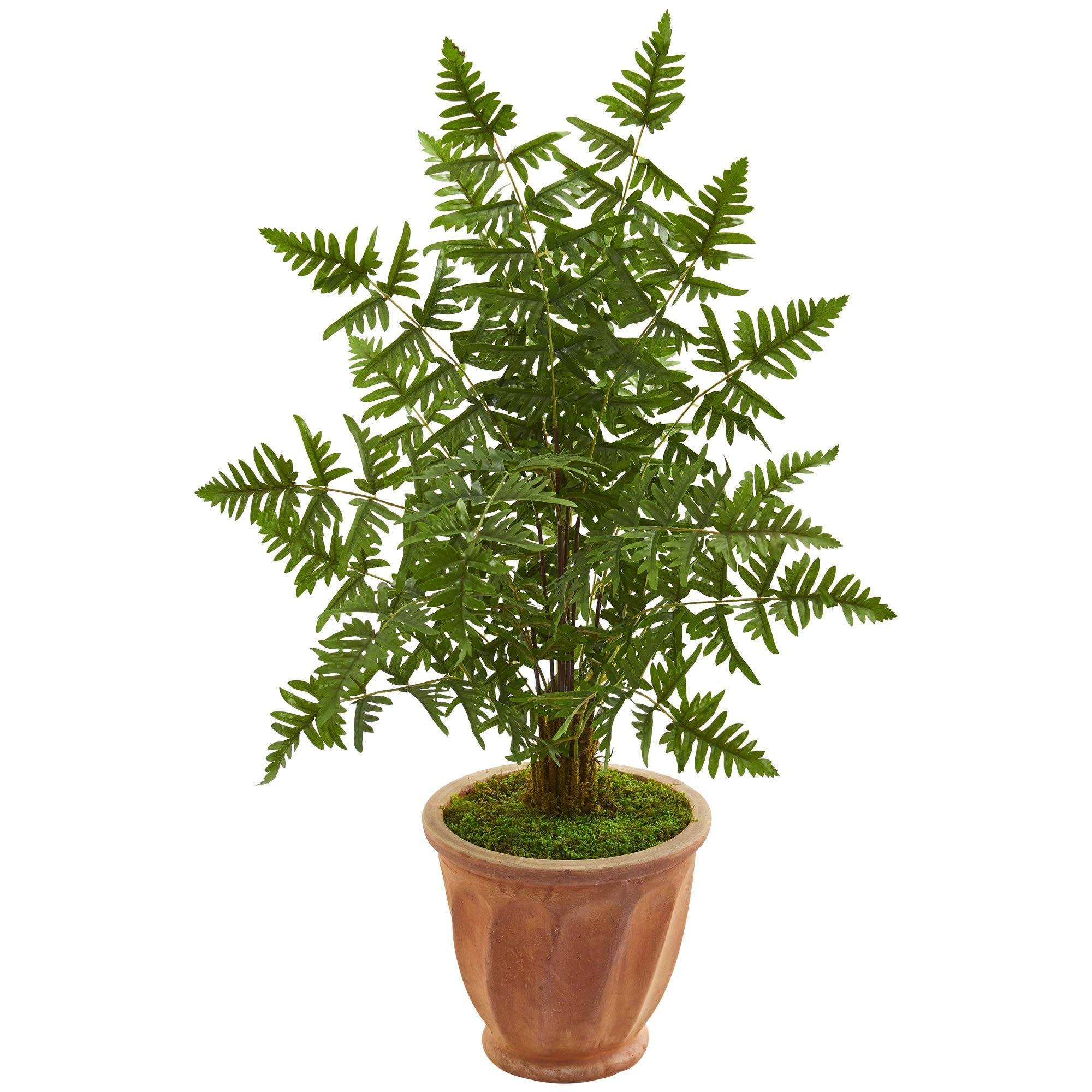 palm fern house plant Ruffle Fern Palm Artificial Tree in Terra Cotta Planter