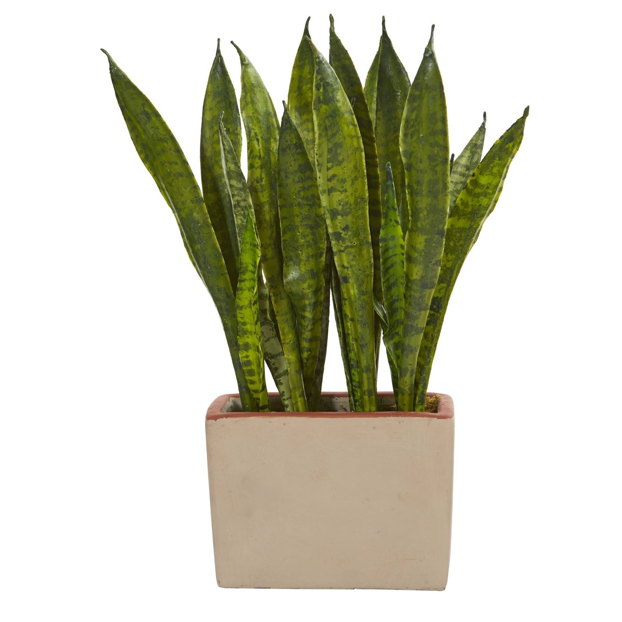 silk sansevieria Sansevieria Artificial Plant in Ceramic Planter
