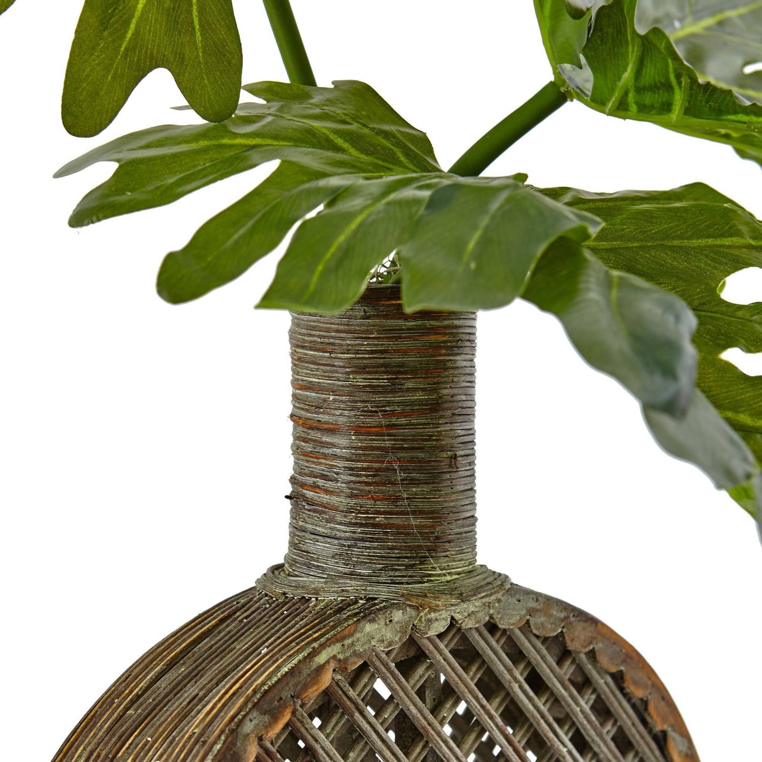 Selloum in Open Weave Vase