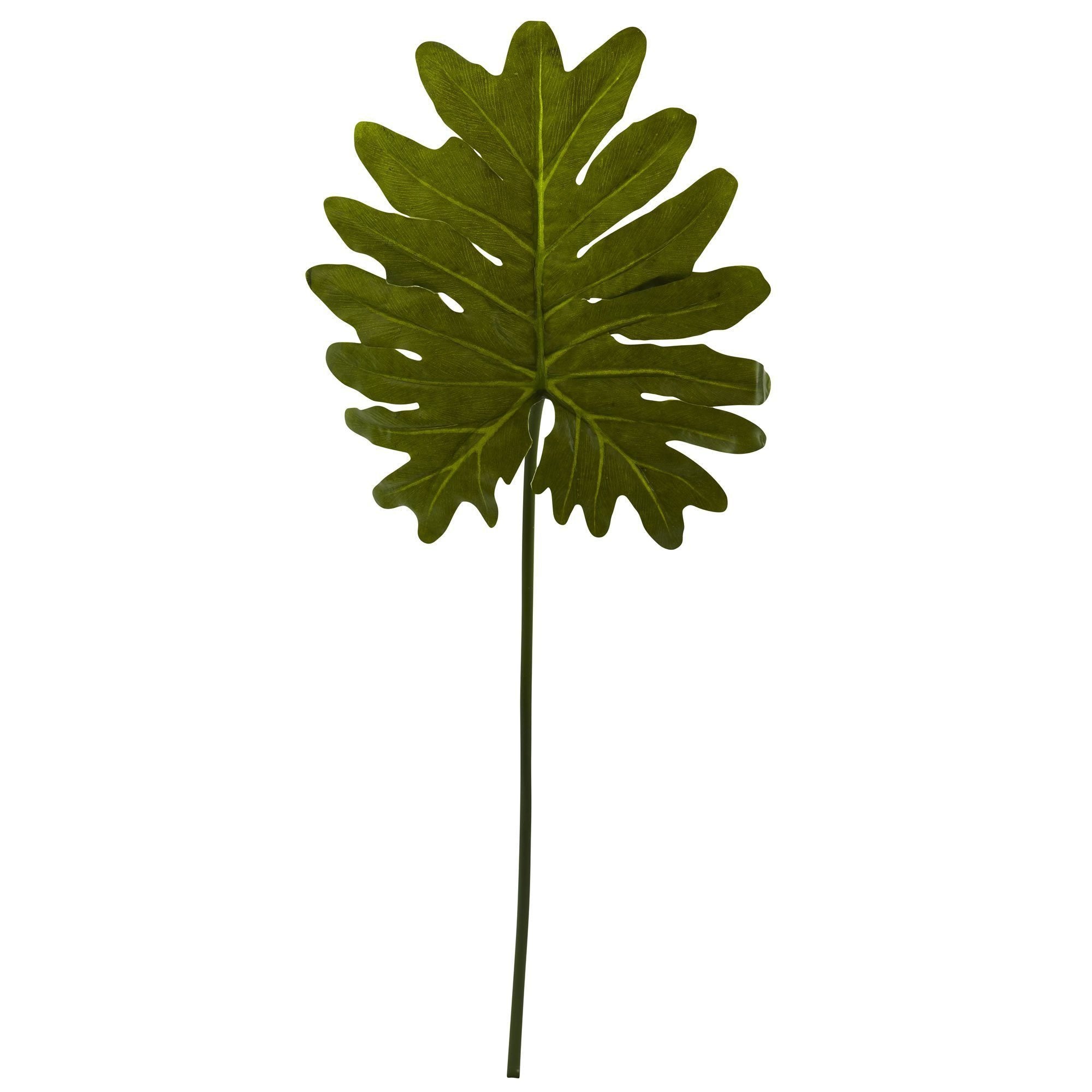 single leaf plant Selloum Philo Single Leaf Stem (Set of 12)