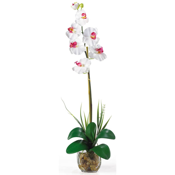 Single Phalaenopsis Liquid Illusion Silk Flower Arrangement