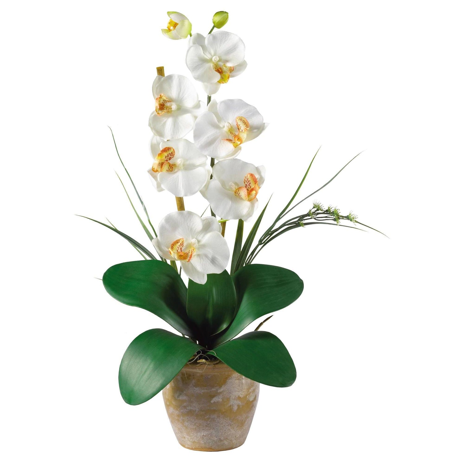 Single Stem Phalaenopsis Silk Orchid Arrangement