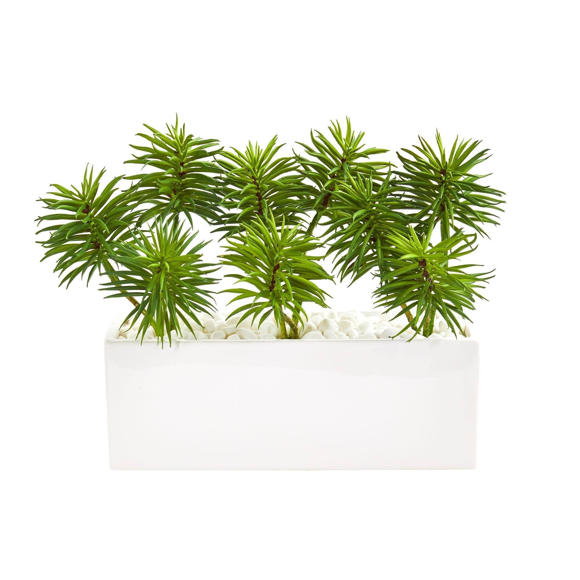 spiky long succulent Spiky Succulent Garden Artificial Plant in White Ceramic Vase
