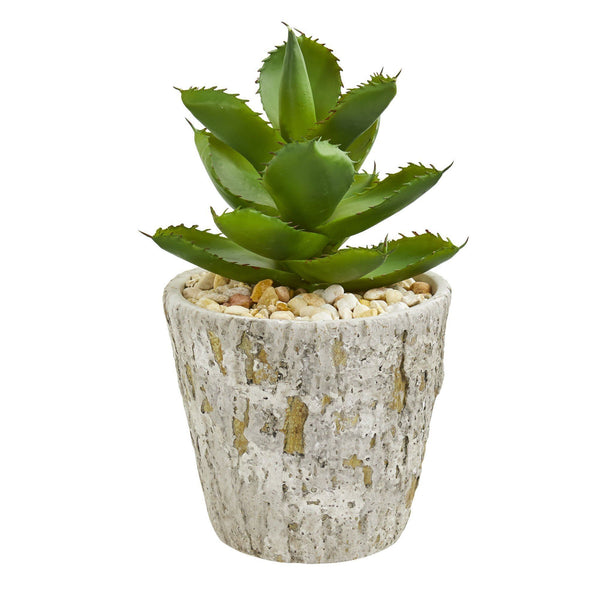 Succulent Artificial Plant in Weathered Oak Planter
