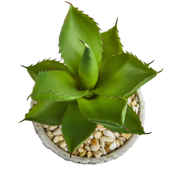 Succulent Artificial Plant in Weathered Oak Planter