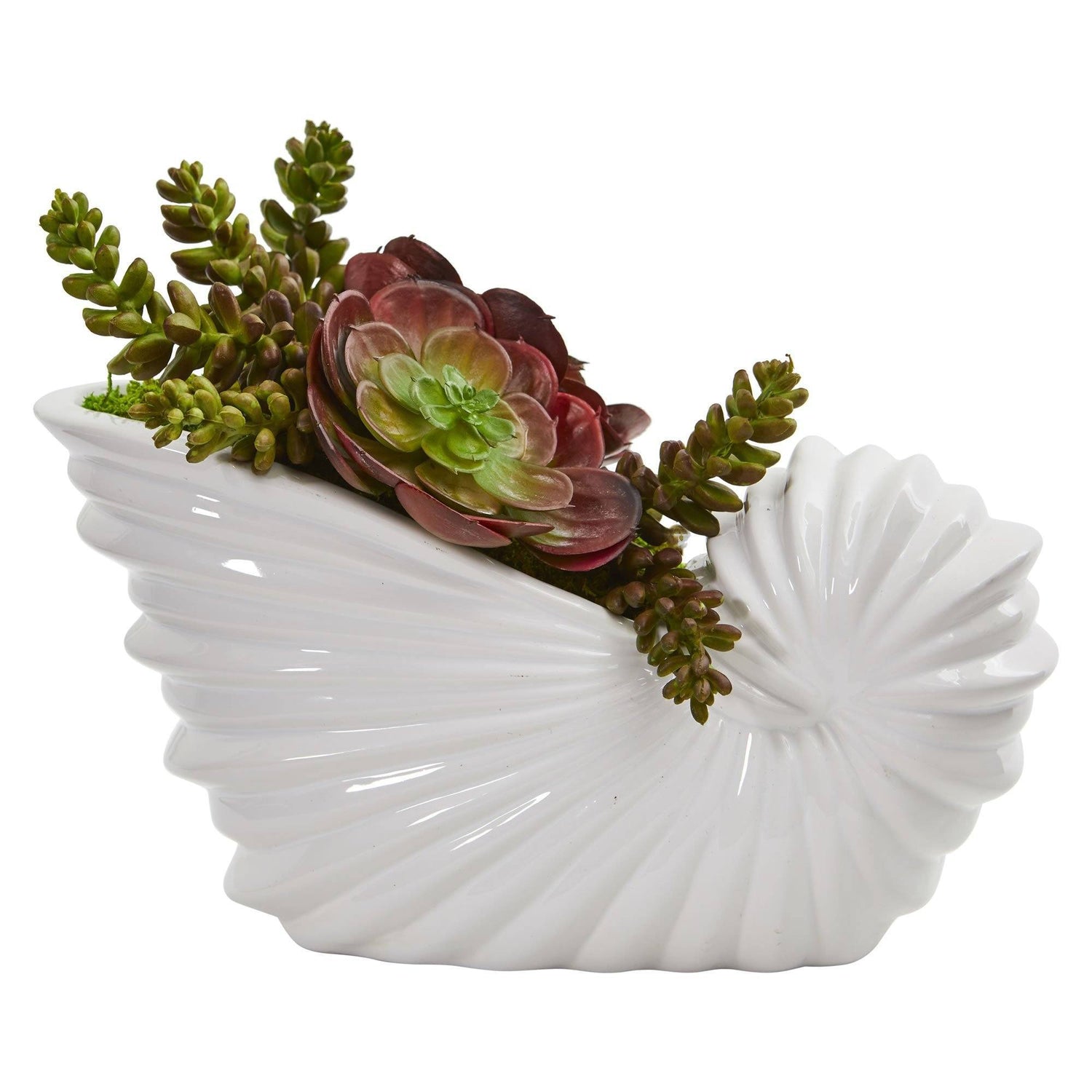Succulent Garden Artificial Plant in Shell Planter