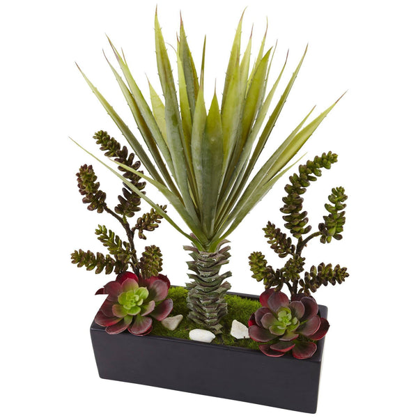 Succulent Garden in Rectangular Planter