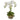 Triple Phalaenopsis Orchid in Glass Vase