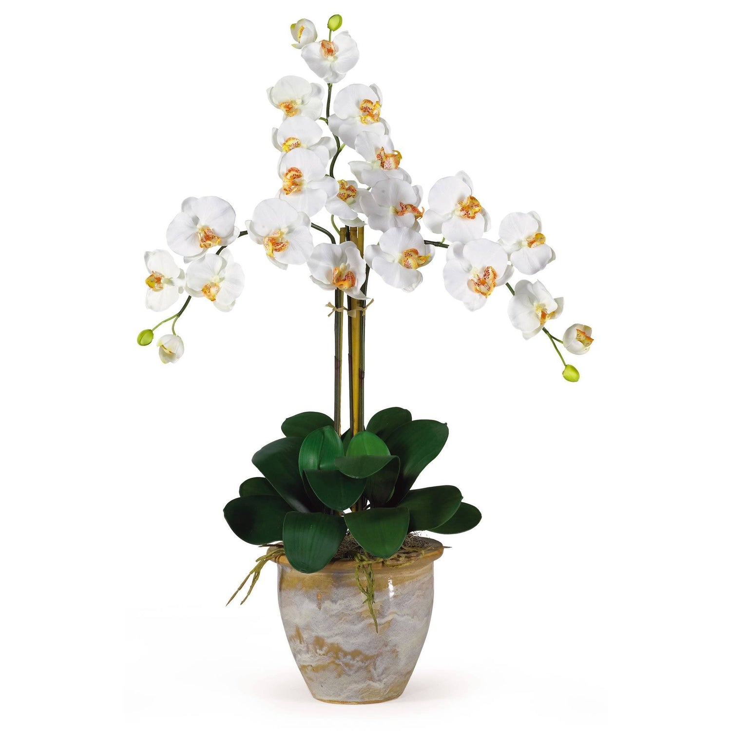 Triple Stem Phalaenopsis Silk Orchid Arrangement