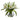 Tulips Arrangement w/Vase
